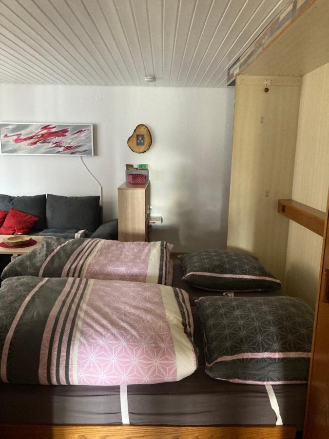 Gemuetliche Ferienwohnung In Sankt Blasien מראה חיצוני תמונה