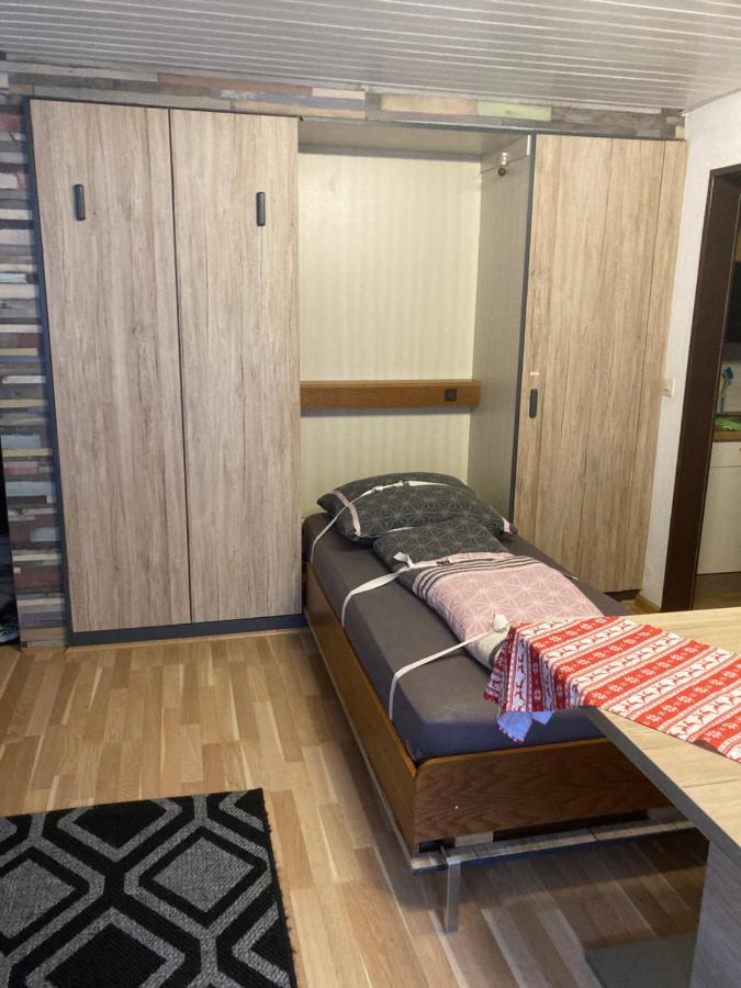 Gemuetliche Ferienwohnung In Sankt Blasien מראה חיצוני תמונה