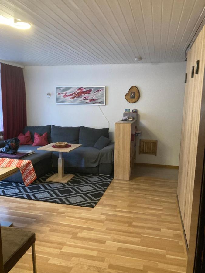 Gemuetliche Ferienwohnung In Sankt Blasien מראה חיצוני תמונה