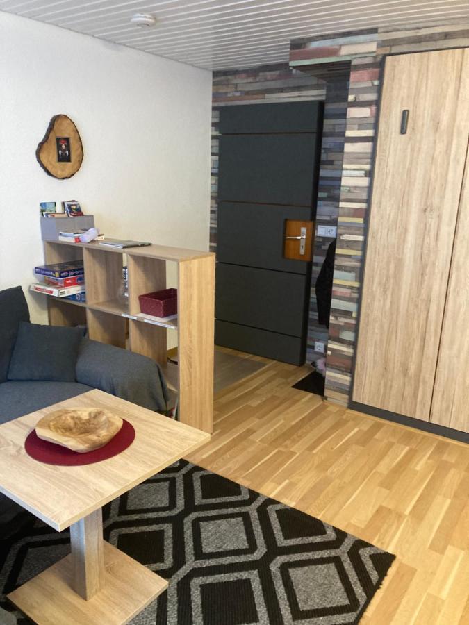 Gemuetliche Ferienwohnung In Sankt Blasien מראה חיצוני תמונה